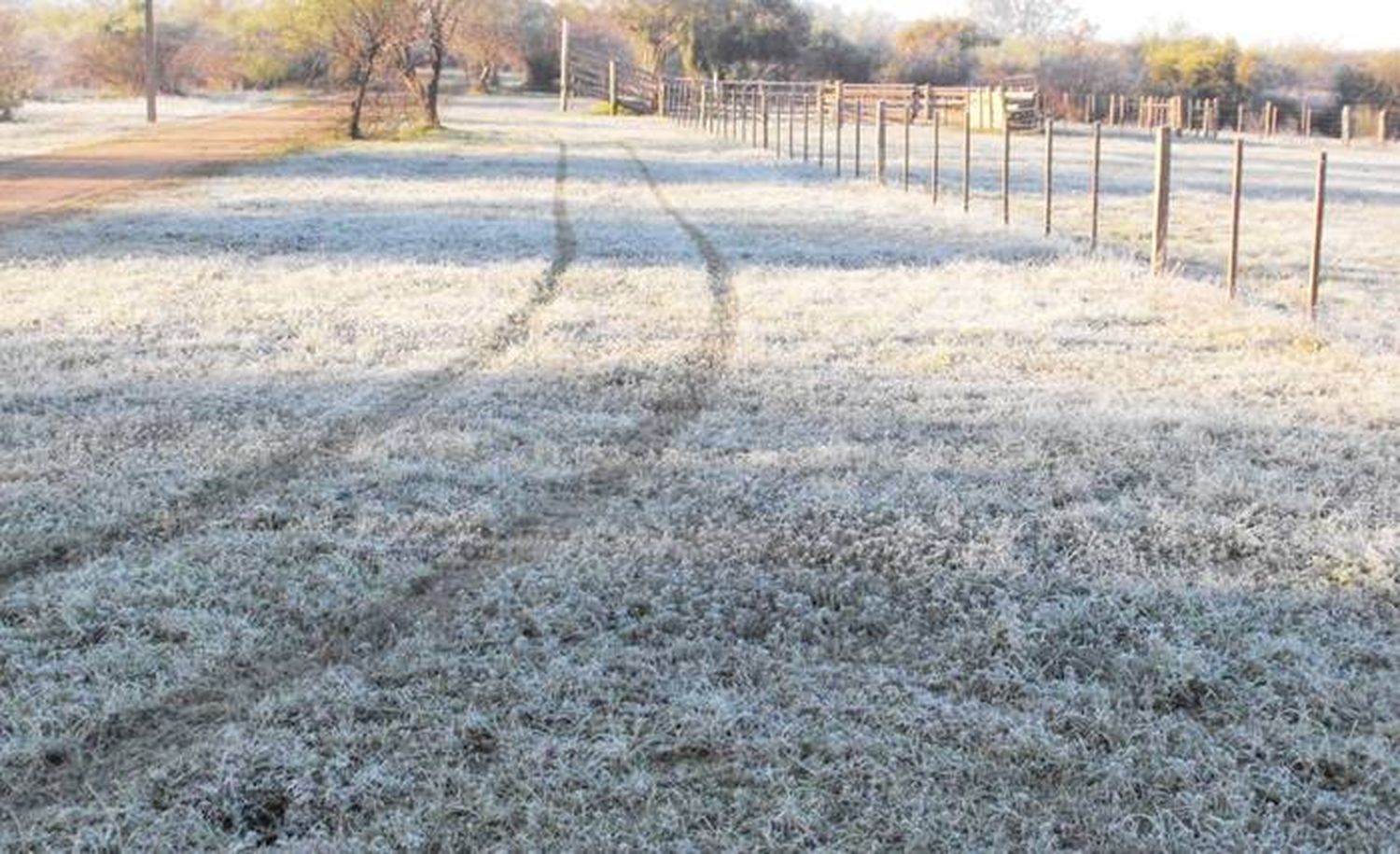 Anuncian llegada de aire polar: prevén fuertes heladas y temperaturas bajo cero