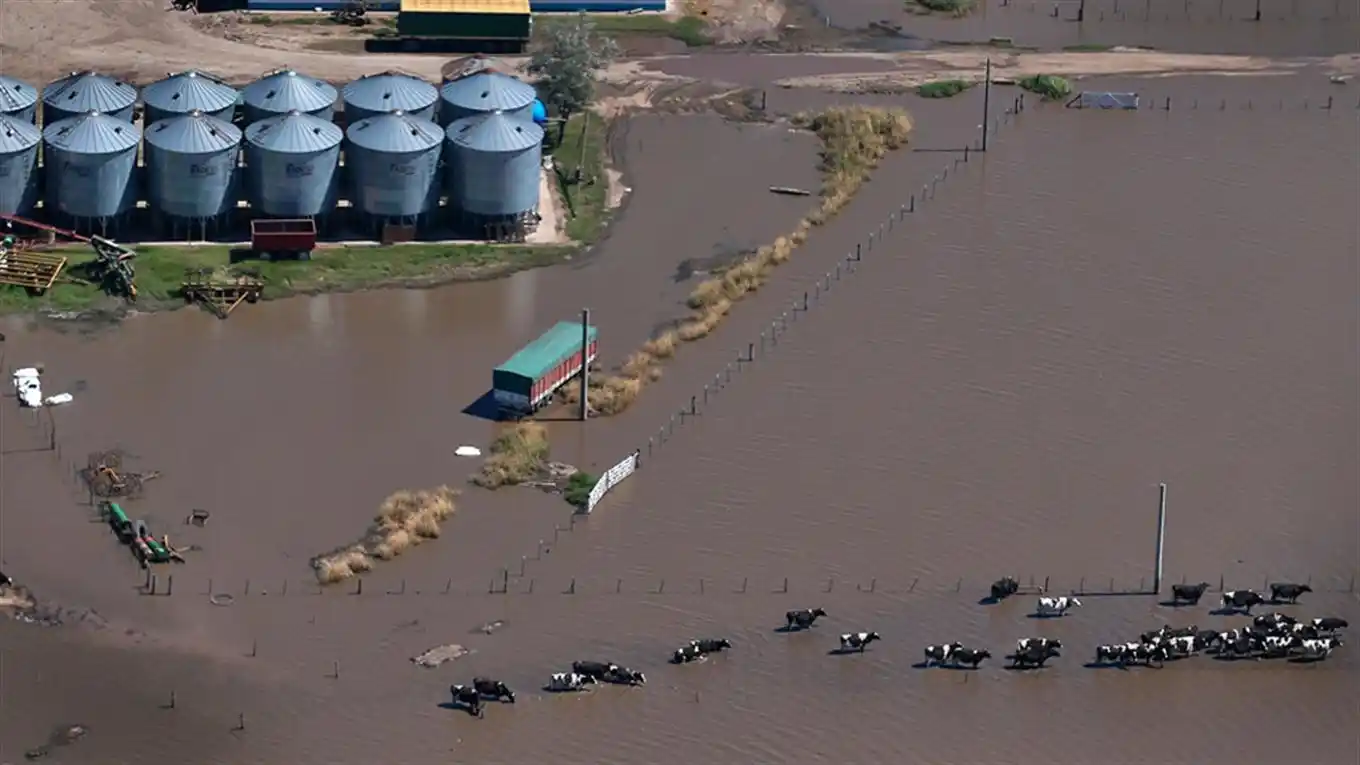 Lácteos: subiría el precio por la baja de la producción en Córdoba y Santa Fe