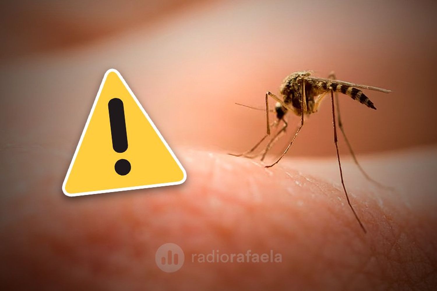 Dengue confirmado en la ciudad de Rafaela: se conocieron más detalles del caso