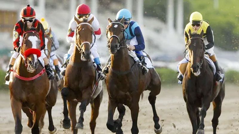Martes 1: Actividad Hipódromo de La Plata