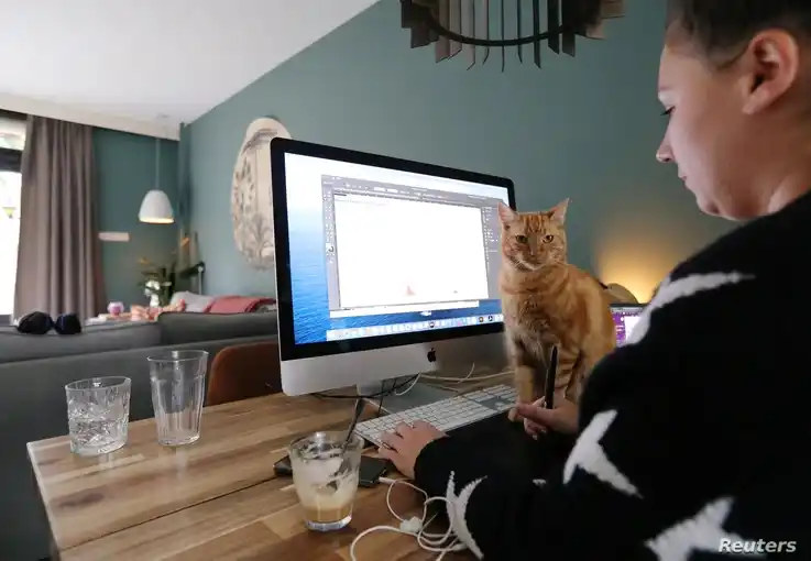 Estudio: trabajar desde la casa cuesta más