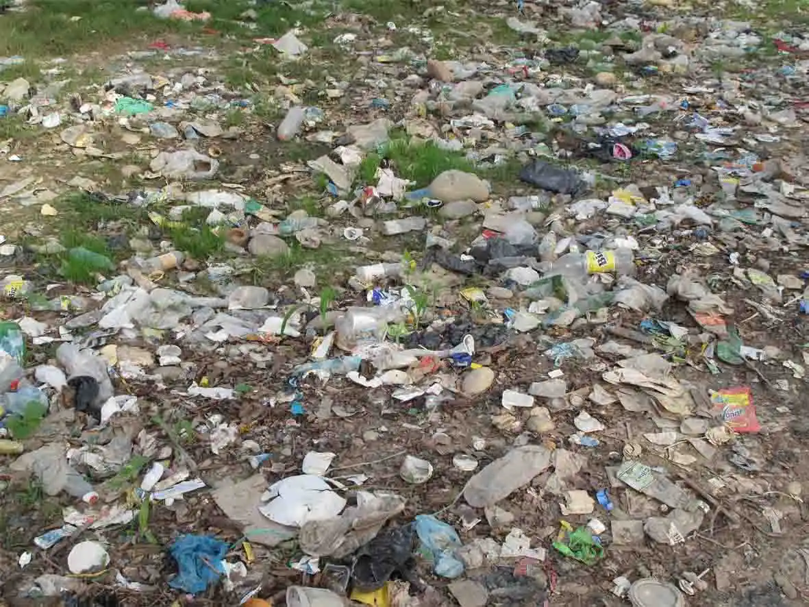 Tercera edición de “Limpiemos el mundo”