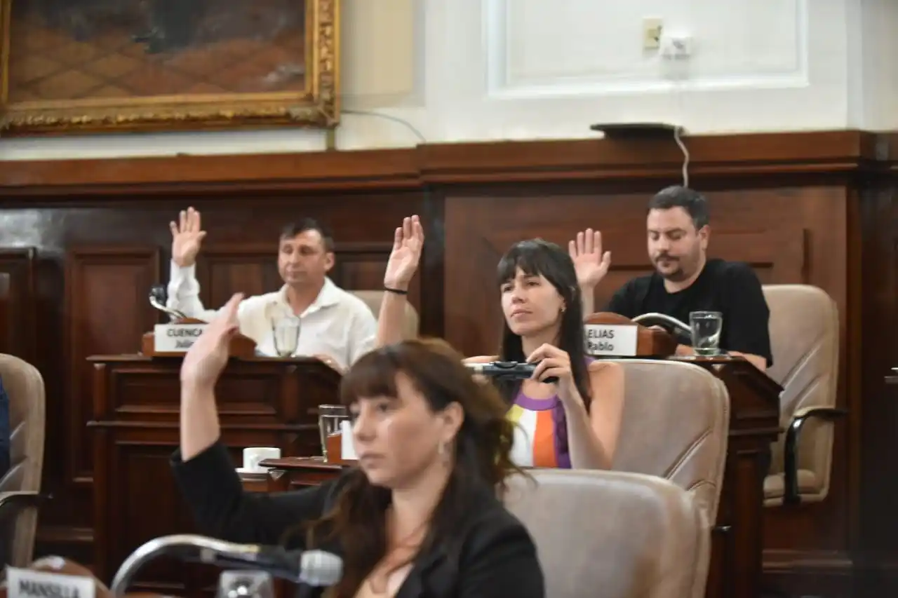El bloque oficialista consiguió sumar las adhesiones para aprobar los tres proyectos. FOTO: X @CintiaMansilla_