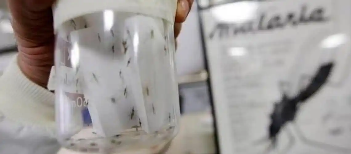 Aumentó la malaria en Venezuela, encabeza los casos en el continente