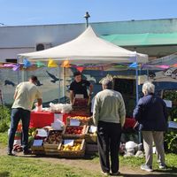 El Mercado Alimenticio Barrial estará este viernes en la Plaza Ardiles