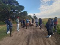 Fin del programa Cambio Rural: despidos en Tandil y proyectos truncados con emprendedores rurales