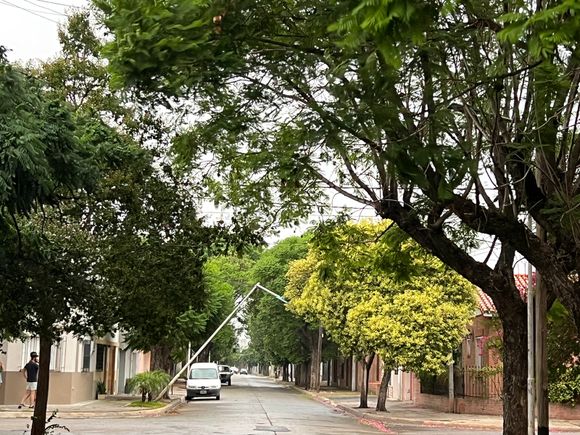 Poste de luz enganchado en los cables