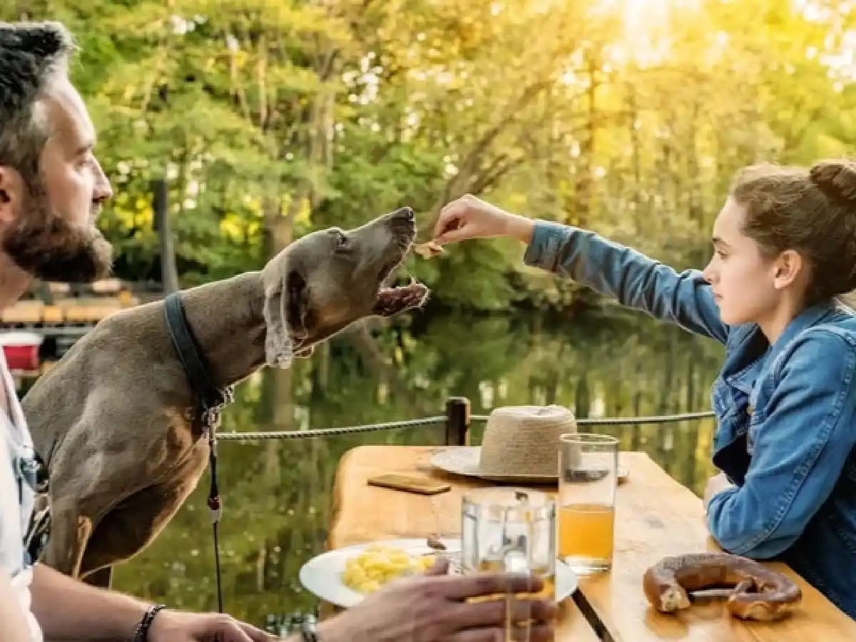 “Perrhijos”: ¿está mal si el perro es mucho más que una compañía? 