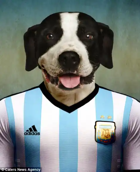 El dogo argentino en el Mundial