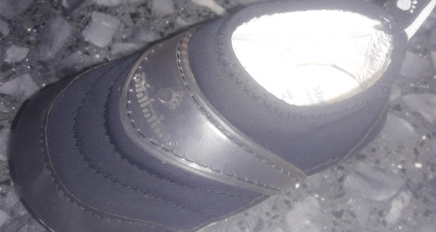 Buscan una zapatillita como esta