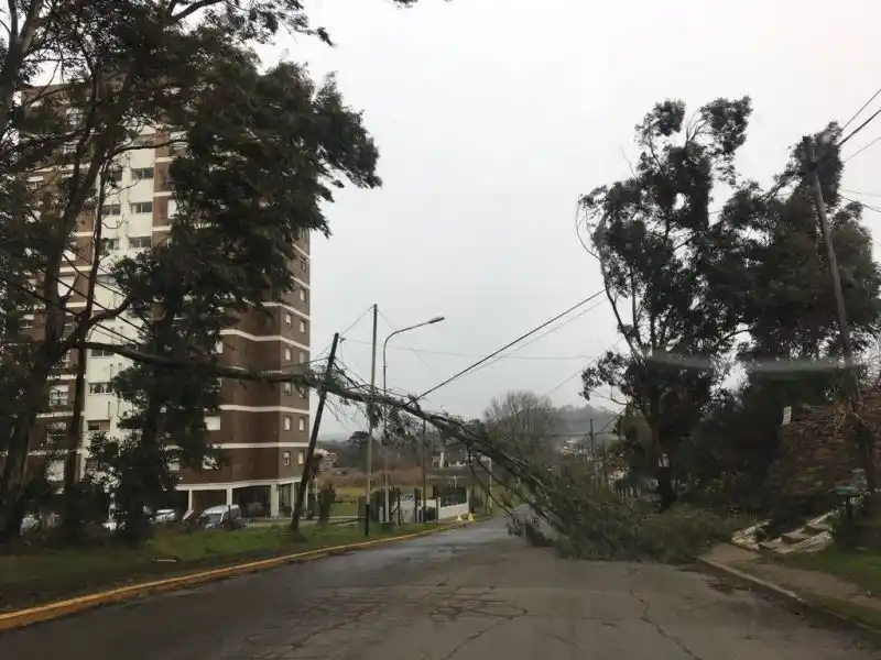 Fuertes vientos ocasionan inconvenientes en Tandil y suspenden las clases
