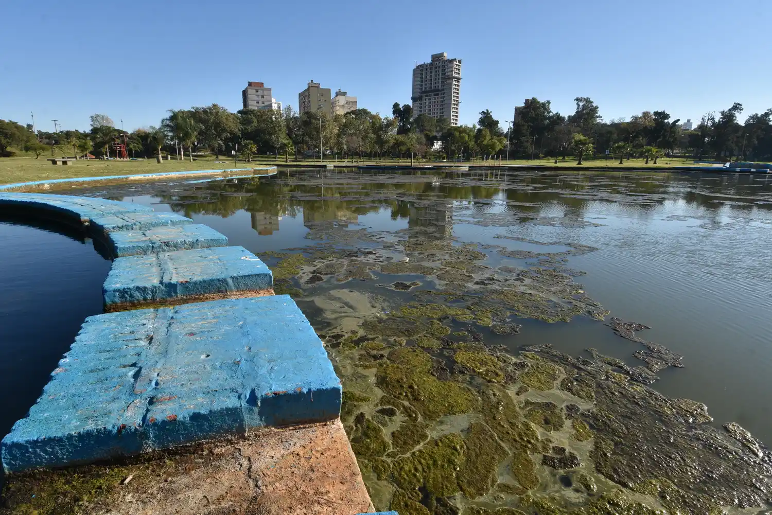 Parque del Sur: preocupa a los vecinos la gran cantidad de mosquitos