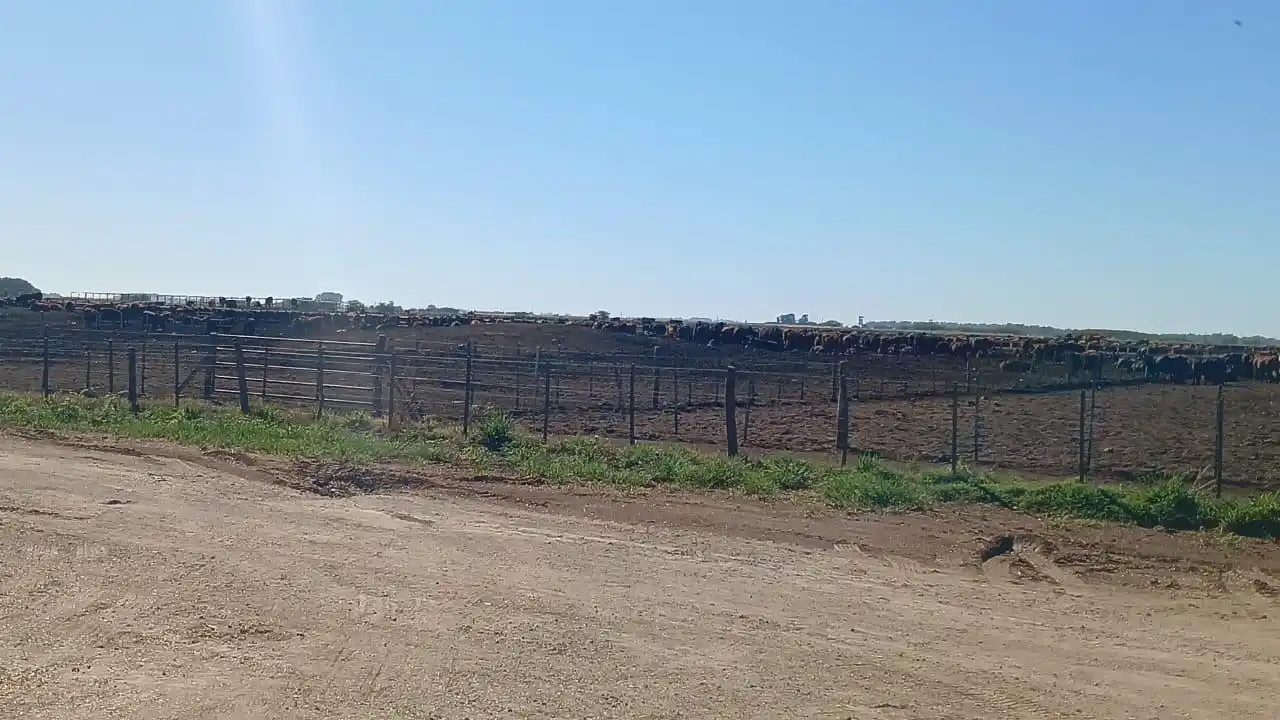 El vicepresidente de la Sociedad Rural y sus hermanos vendieron 24.000 hectáreas al Grupo Faro Verde