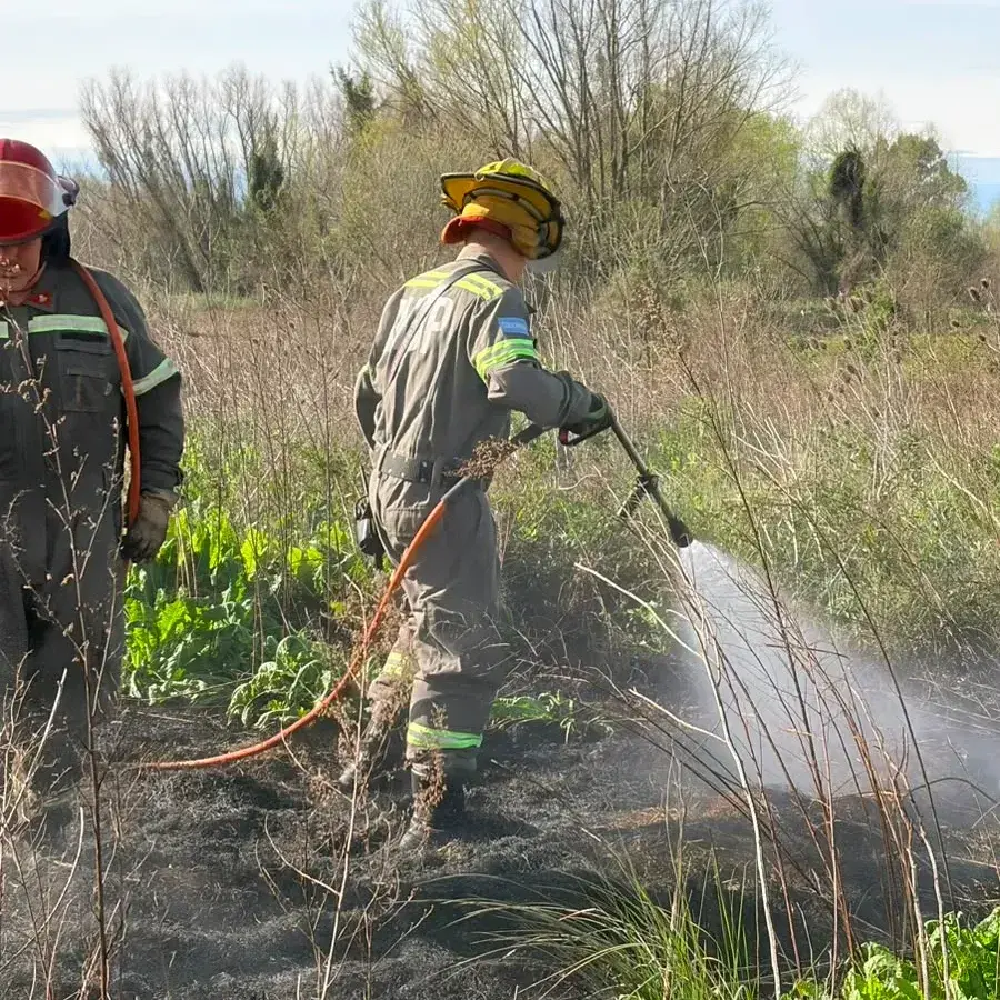 Los voluntarios trabajaron en la zona afectada.