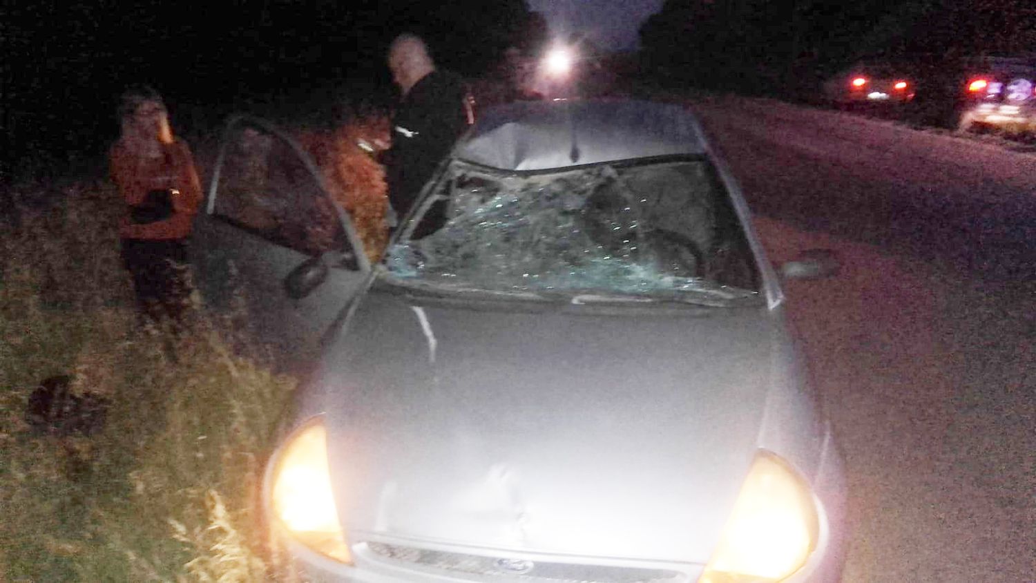 Automovilista golpeado tras chocar contra un caballo en la ruta 86