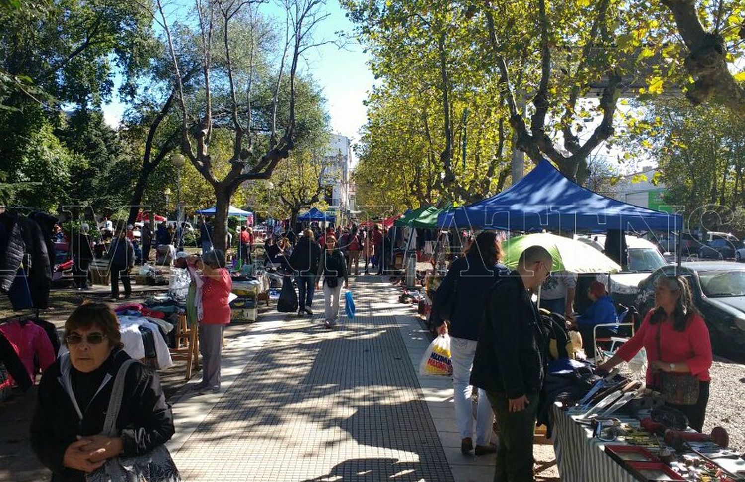 Juntan firmas para exigir la continuidad de la feria en Plaza Rocha