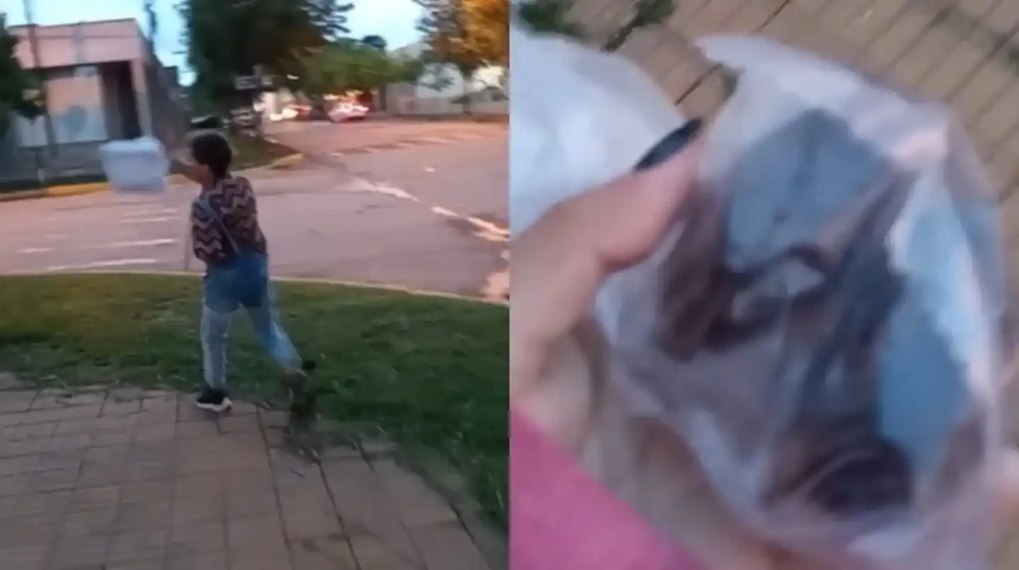 Un nene fue a pedir caramelos a una carnicería por Halloween, pero como no tenían le hicieron un regalo insólito