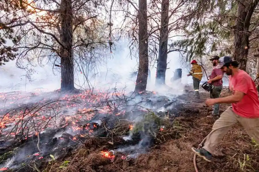 Incendios forestales: COFEMA declaró estado de emergencia en todo el territorio nacional