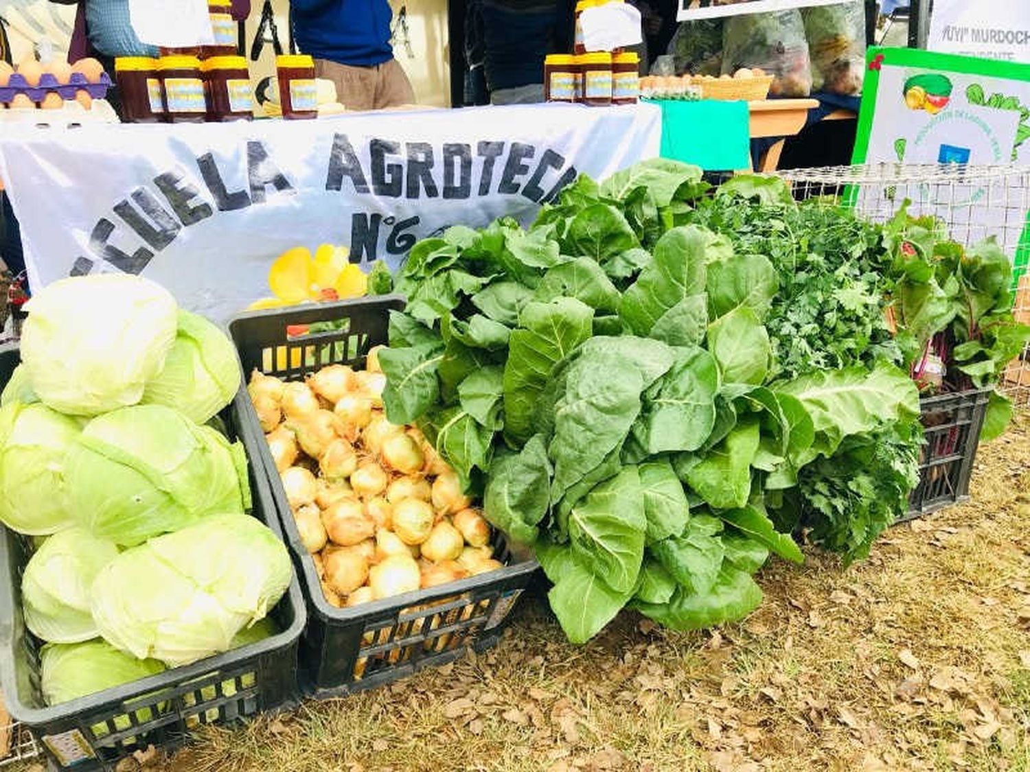 La diversificación alcanzada por los paipperos de toda la provincia se lució en una gran feria