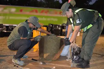 Gendarmería: así frustraron el envío de un generador de espuma relleno de marihuana hacia Buenos Aires