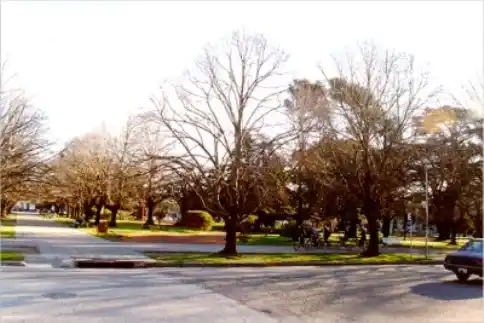 Las Flores: Este sábado se vivirá una nueva edición de "Verano Acá"