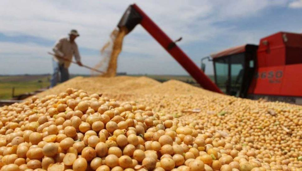 Soja : finalizó la cosecha en Entre Ríos