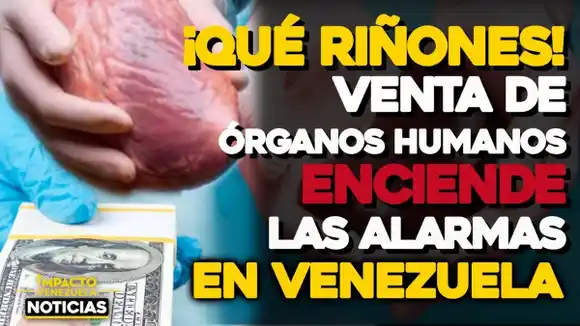 ¡Qué riñones! Venta de órganos humanos enciende las alarmas en Venezuela – VIDEO IMPACTO VENEZUELA