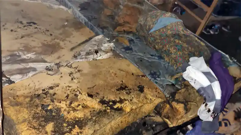 Dramático incendio: "Empecé a sacar las criaturas que estaban prendidas fuego"