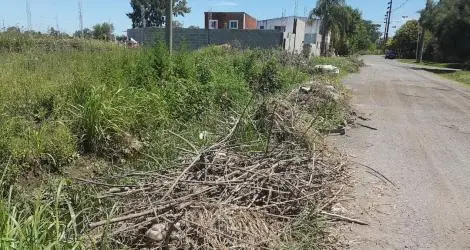 Vecinos reclaman por la limpieza de un zanjón en Los Aromos