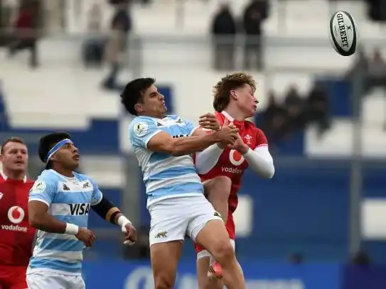 Los Pumas se recuperaron con una victoria ante Gales