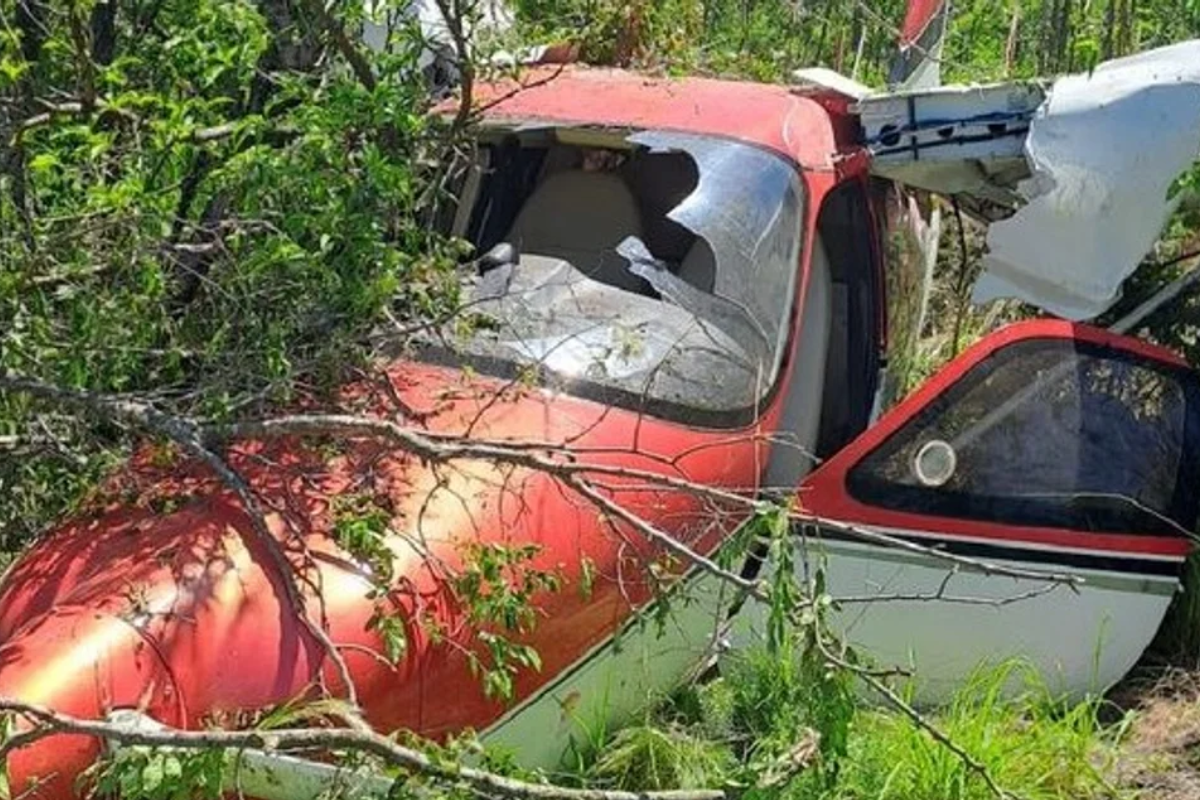La avioneta después de caer