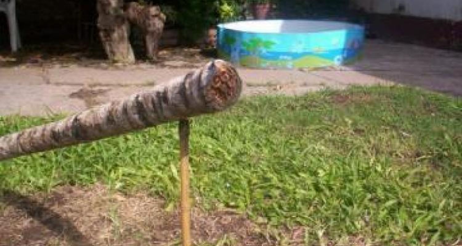 Secretos de los buscadores del cable coaxil