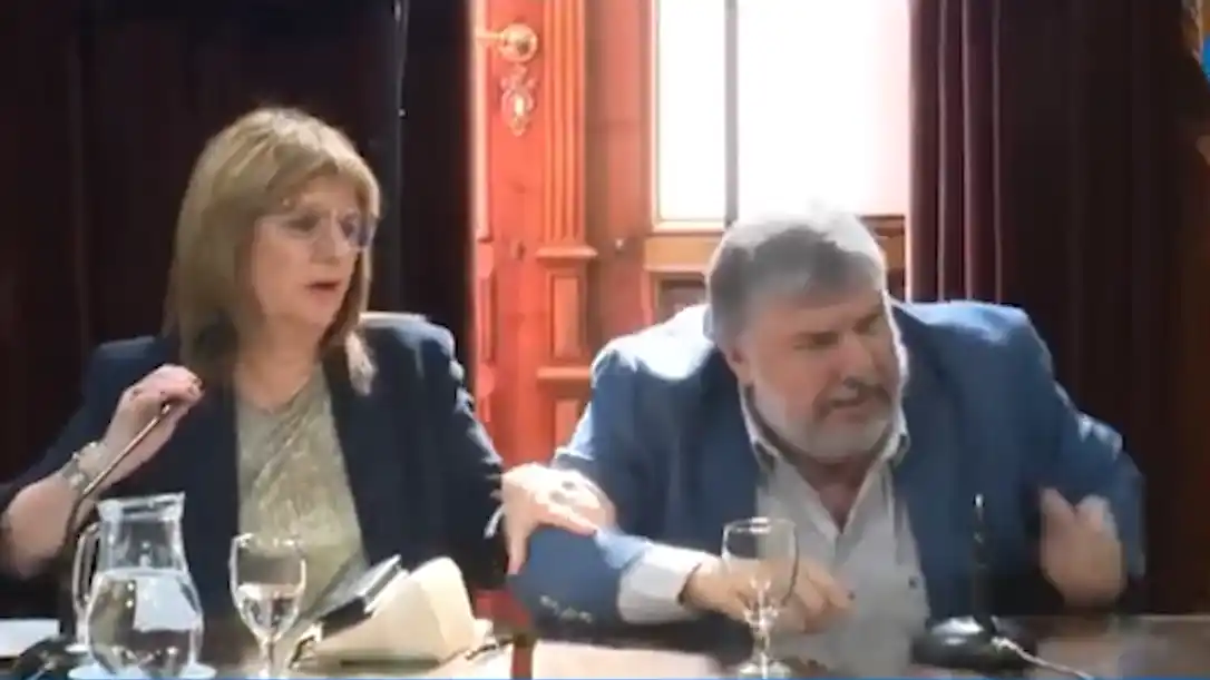 “Hacen lo que se les canta las pelotas”:  el feroz cruce entre Patricia Bullrich y José Mayans en el inicio del debate sobre la reforma laboral