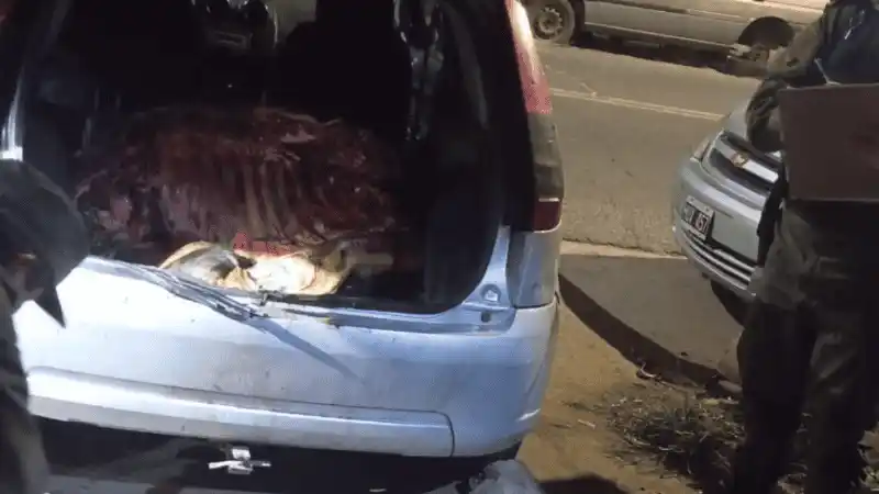 Detuvieron a dos hombres con un animal vacuno faenado dentro de un auto en Santa Fe