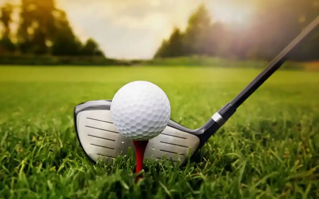 Golf: se definieron los semifinalistas de la Copa Presidente