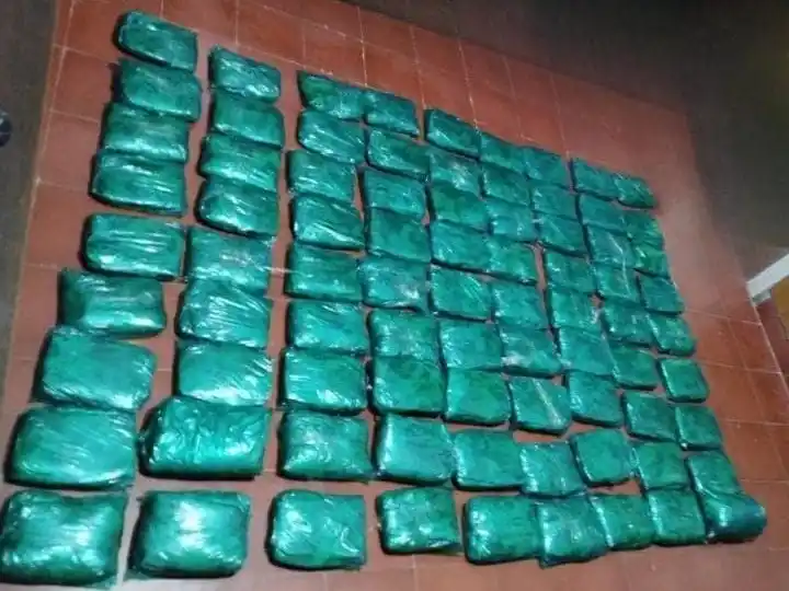 En total, se contabilizaron unos 80 envoltorios que contendrían hojas de coca. Foto: Policía de Santa Fe