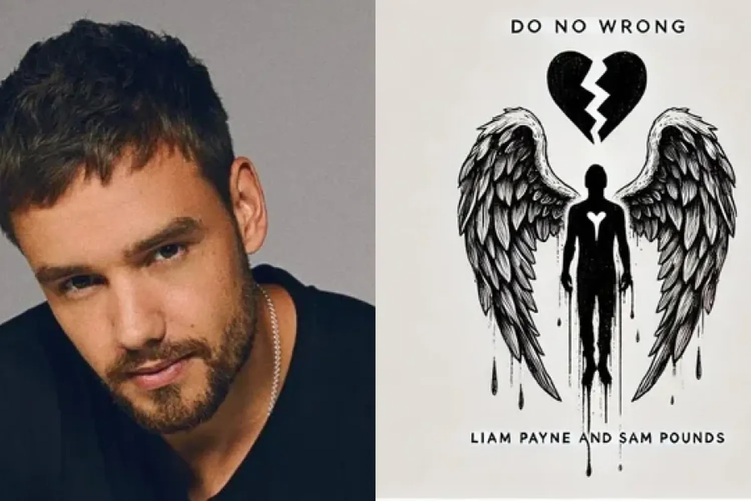 A menos de un mes de su muerte, Liam Payne tendrá su primer sencillo póstumo