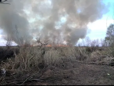 Buscó refugio por incendio en islas