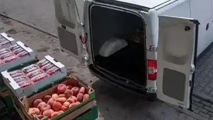 Bromatología recordó los requisitos para transportar alimentos de manera segura