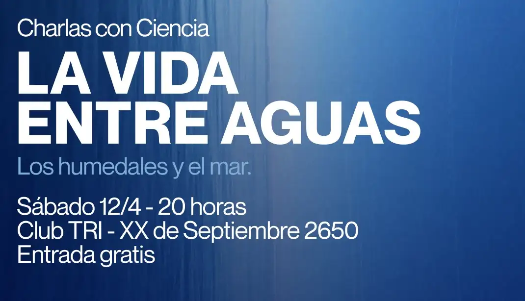 Durante el encuentro, los especialistas charlarán sobre el mar y los humedales para compartir cómo los investigan y para qué.
