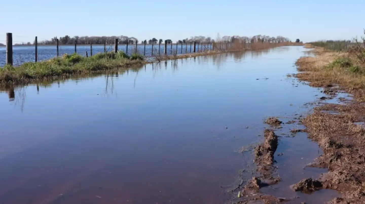 ¿Cuál fue el impacto en el campo de las lluvias del fin de semana?