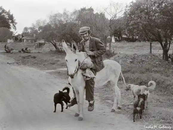 En este domingo de clásicos, un recuerdo que nos abraza el alma: “Manya”, Golondrina y la memoria viva de Chascomús
