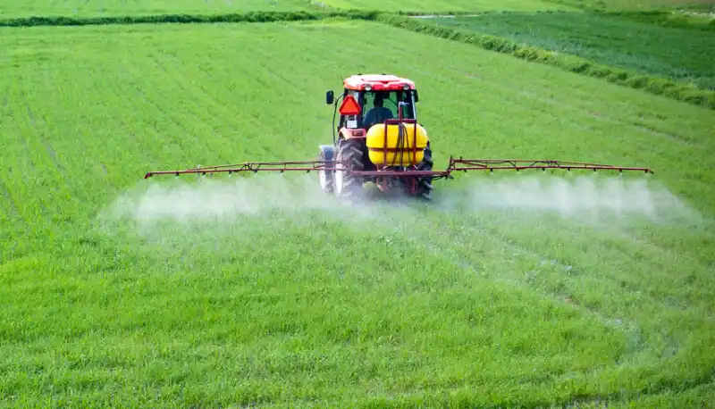 La Suprema Corte bonaerense avaló la ordenanza de Chascomús que restringe el uso y almacenamiento de agroquímicos en zonas urbanas