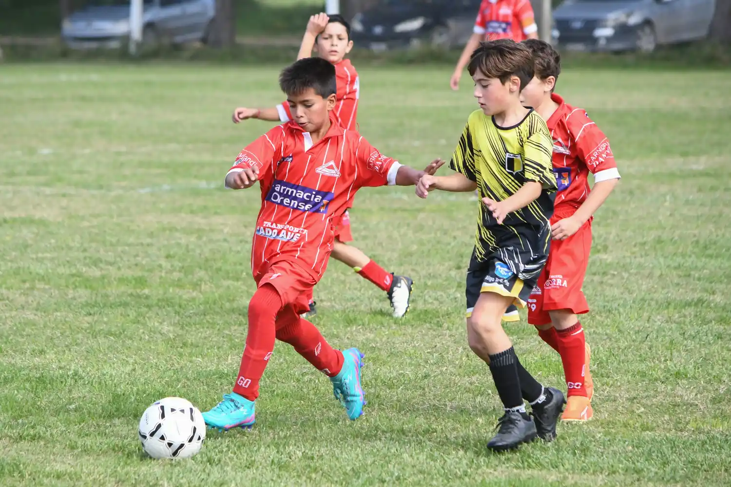 Las Inferiores de fútbol se pusieron al día