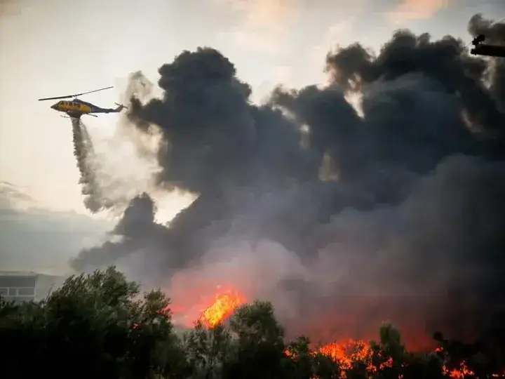Un incendio forestal dejó casi dos decenas de víctimas en España