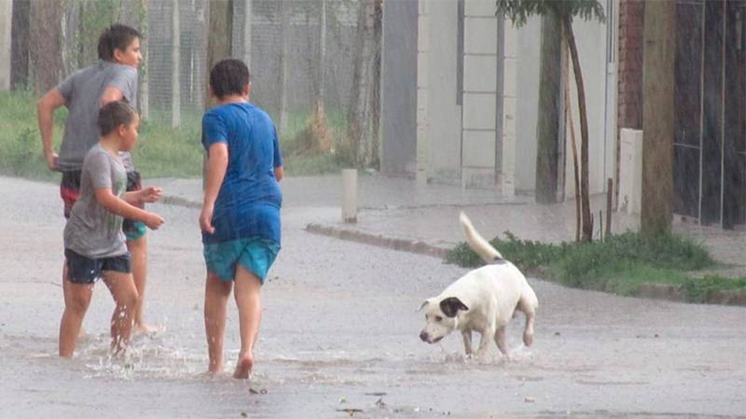 Alertan por tormentas en Entre Ríos: advierten de lluvias intensas y ráfagas