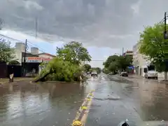 No estuvo de acuerdo con el rechazo de su reclamo y volvió a pedir resarcimiento al Municipio