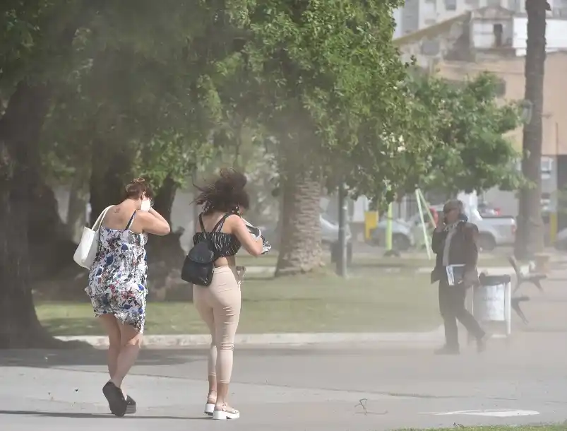 Gran parte de la provincia de Buenos Aires está en alerta amarilla por vientos fuertes