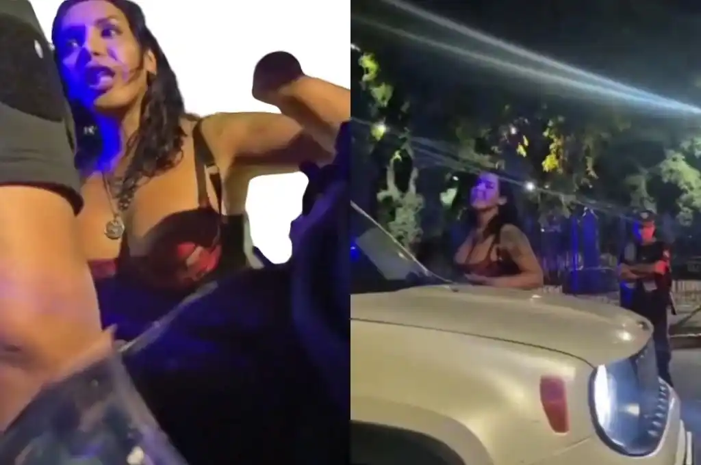 Atropelló a una policía en un control de alcoholemia