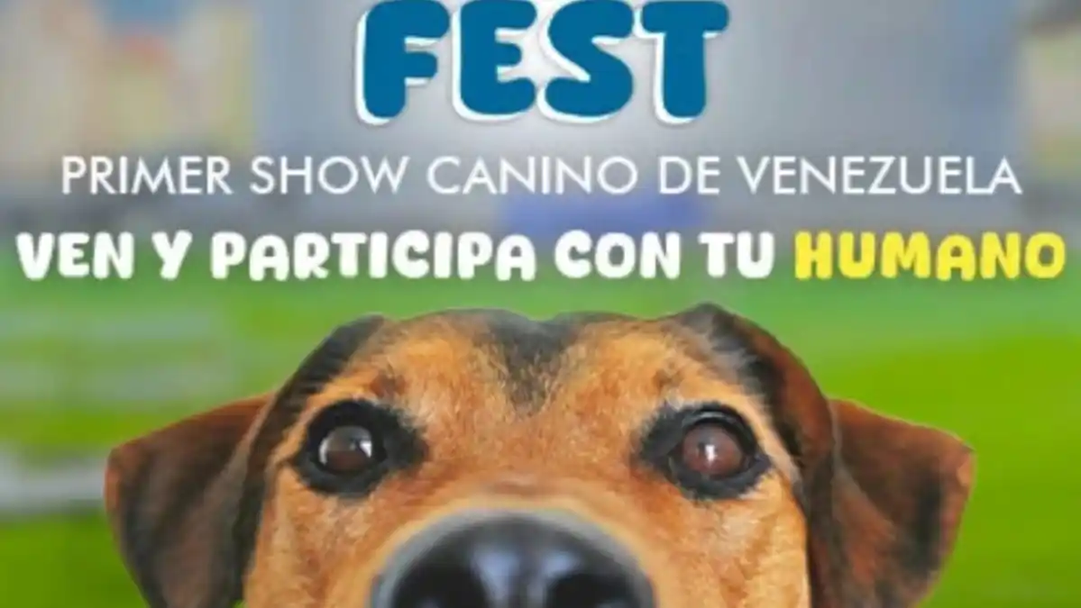 Más de 100 perros participarán en el Primer Can Fest Internacional en Caracas